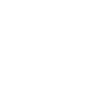 Casa De Ringo